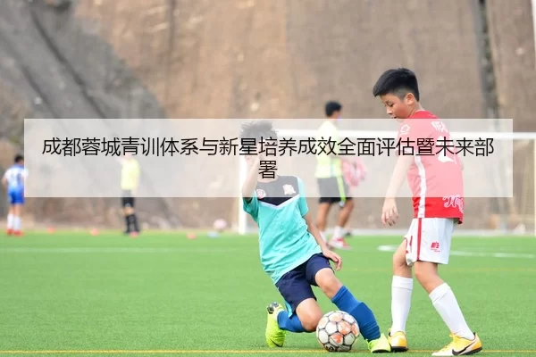 cheng-du-rong-cheng-qing-xun-ti-xi-yu-xin-xing-pei-yang-cheng-xiao-quan-mian-ping-gu-ji-wei-lai-bu-shu-2-992.jpg